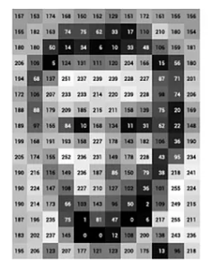 Grayscale image array representation